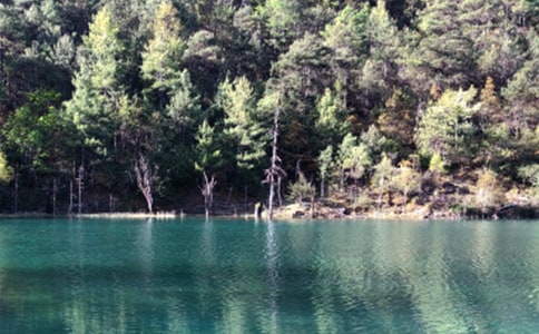 ��ѡ����������300����ƪ