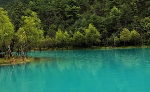 �����μ�����