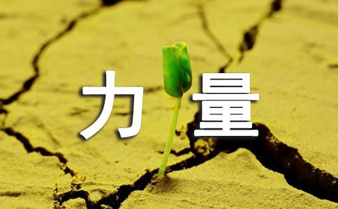 �ذ�����������600����ƪ