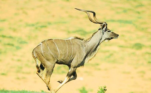 ����ľ�����У���ѡ7ƪ��