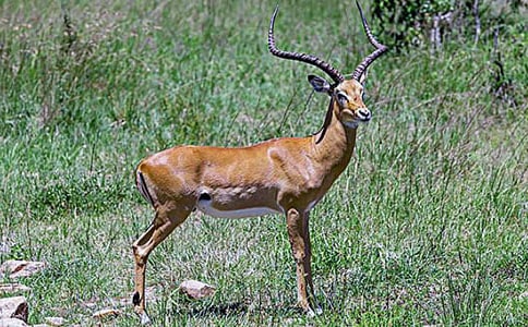 ���������ݡ������15ƪ