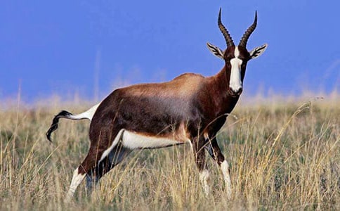 ������ľ�񡷶����13ƪ