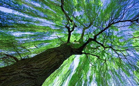 ����������300��7ƪ�����š�