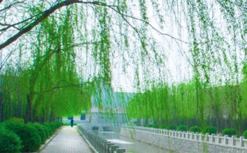 ���������������300��