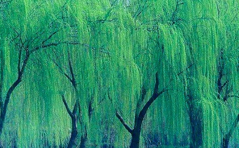 ��������������600����ƪ