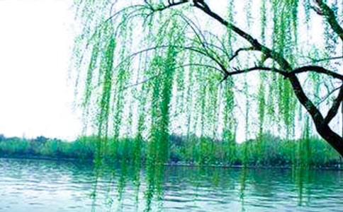 �й��������꼶���ļ�����ƪ