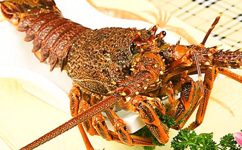 Χ����Ϻ�����꼶��������