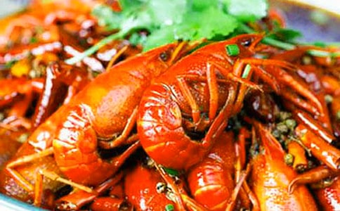 龙虾作文500字5篇(优选)