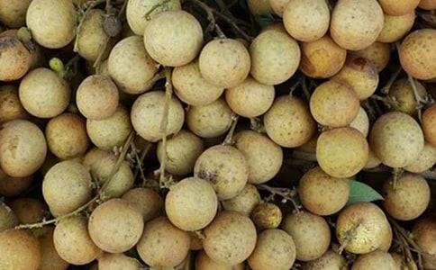 [��]��������600��