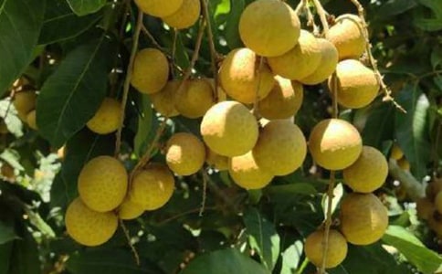 ժ��������300����ƪ