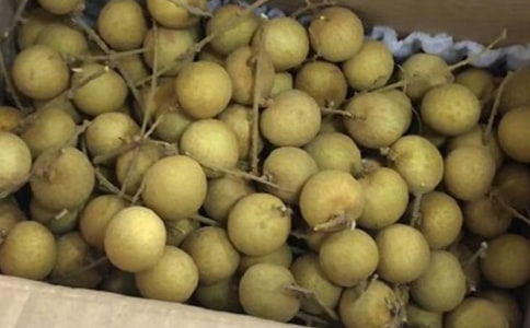 ������������300�־�ƪ