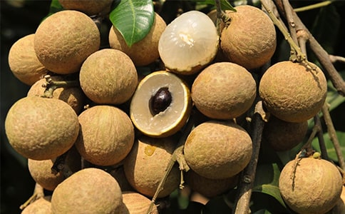 �������������400��