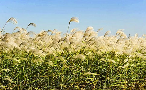 �й�«έ��700������