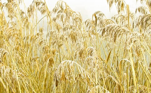 «έ������600��(����)