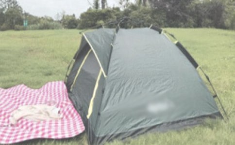 ¶ӪСѧ���������ģ�ͨ��50ƪ��