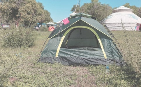 ¶Ӫ����300�ֻ���5ƪ