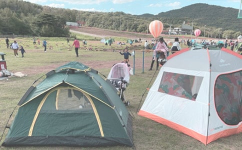 ¶ӪСѧ����400��8ƪ