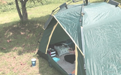 �й�¶ӪСѧ����5ƪ