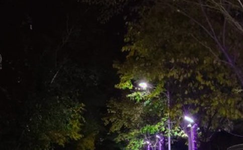 ·������600�ַ���(4ƪ)