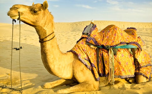 ��������500��