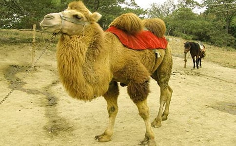 800�ֹ������յ�����