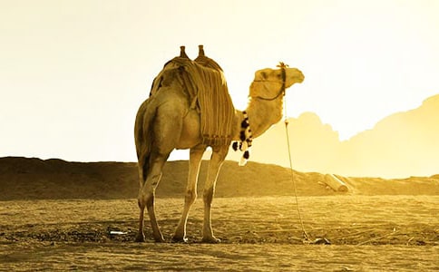 ��������500��8ƪ[����]