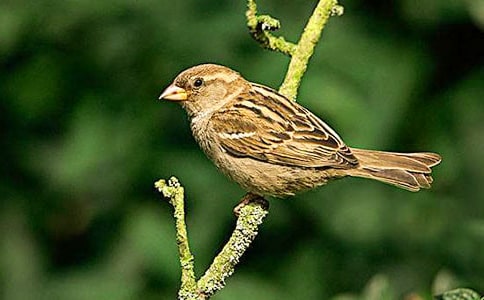 ��ȸ����600��(�ϼ�3ƪ)