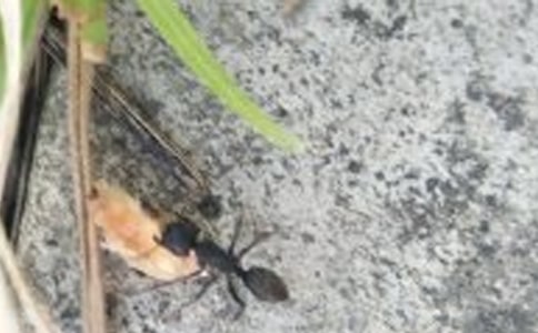 �۲�����ԭ�����ģ���ѡ10ƪ��