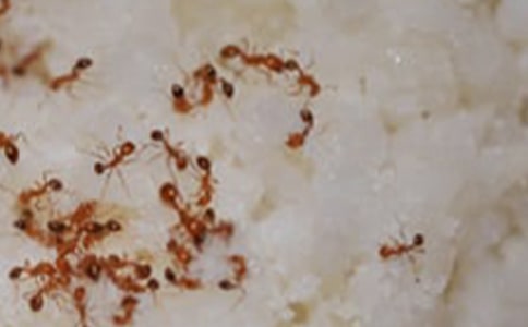 ��д��������200��