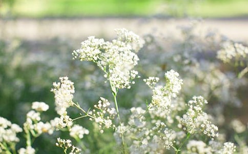 д�����ǵ�����500�֣�ͨ��30ƪ��