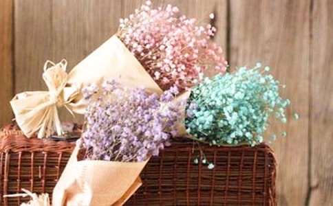 ���������ģ���ѡ37ƪ��