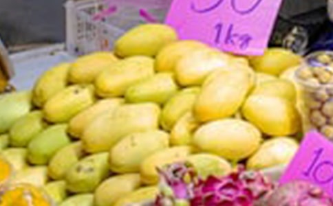 我喜欢芒果作文300字集锦五篇