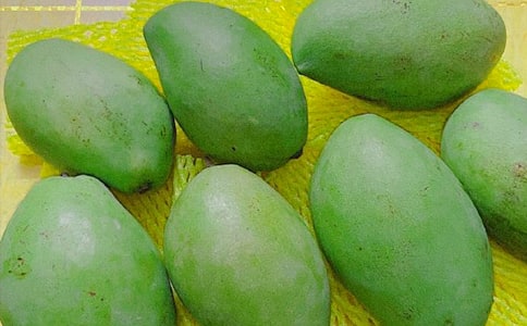 ��ʵ�á�â����������