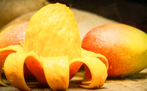 有关芒果树的作文集锦九篇