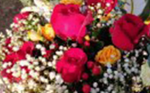 ����ѡ�����꼶õ��������ƪ