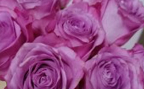 �����š����꼶õ�����Ľ�����ƪ