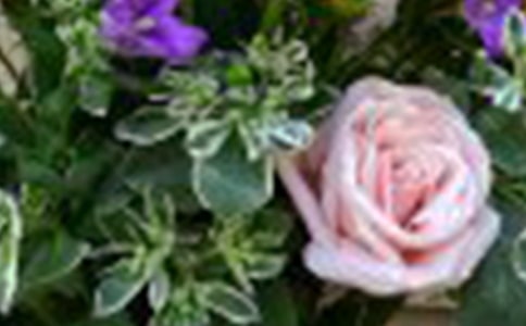 ʵ�õ����꼶õ������300�ֻ�����ƪ