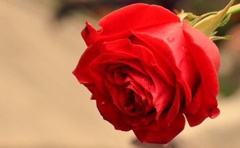 õ�廨���꼶����