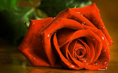 ����õ������500�ֽ���9ƪ