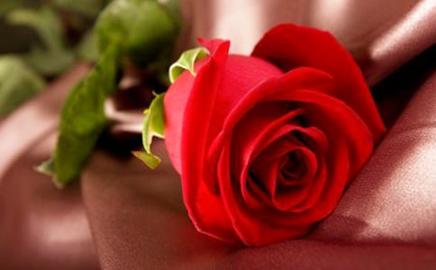 ��дõ��ĸ�һ���ļ���