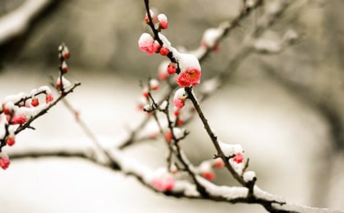 ��÷��Ϊ��������ģ�ͨ��10ƪ��