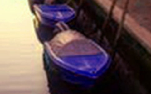 ����ѡ�����꼶��������300�ּ�����ƪ