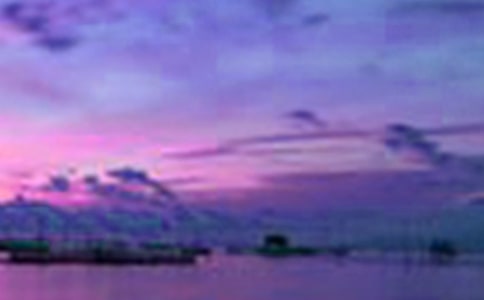 ��д����������600��3ƪ