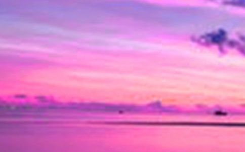 ��԰��������(15ƪ)