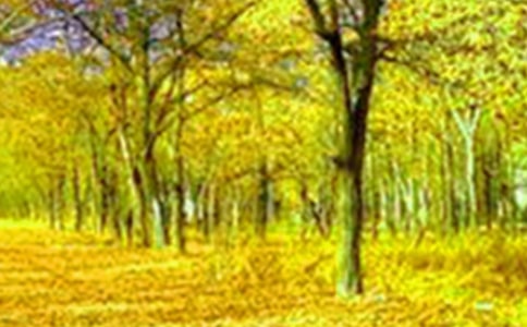 美景作文500字6篇(合集)