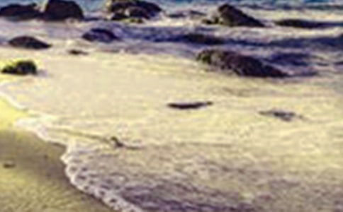 ���꼶��������300�ּ���10ƪ