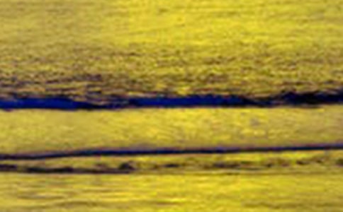 ��д��������