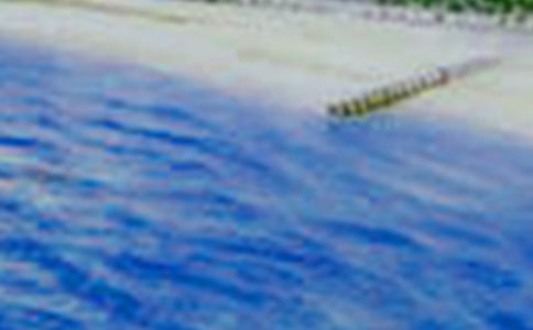 ��������300�ֻ���(3ƪ)