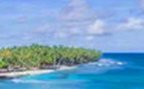 ����������300����ƪ