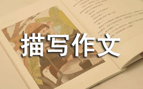 初三人物描写作文集锦8篇